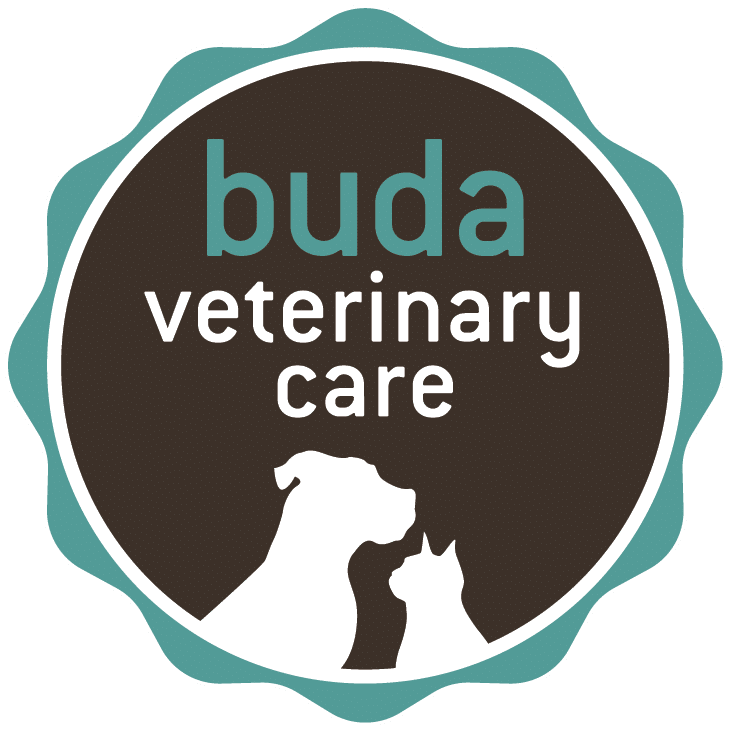 A logo for Buda Veterinary Care showcases silhouettes of a dog and a cat within a circular badge design, capturing the essence of compassionate vet services. The colors are teal and brown, with "buda veterinary care" elegantly written in teal and white text.