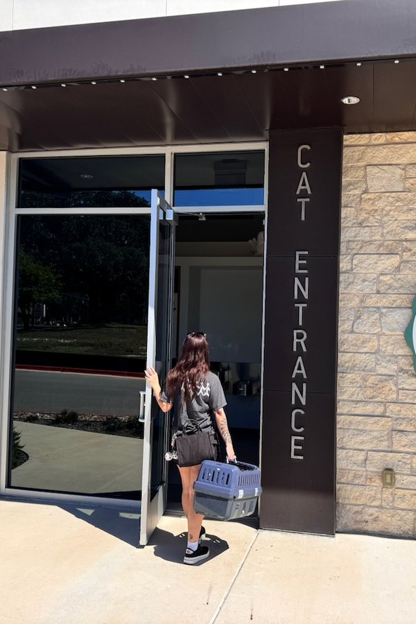 A client carries a cat carrier through the separate Cat Entrance at Buda Veterinary Care.