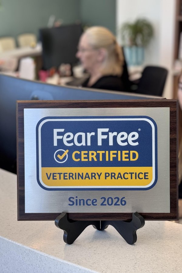 The Fear Free Certified Veterinary Practice plaque on the front desk at Buda Veterinary Care, with a receptionist working in the background.
