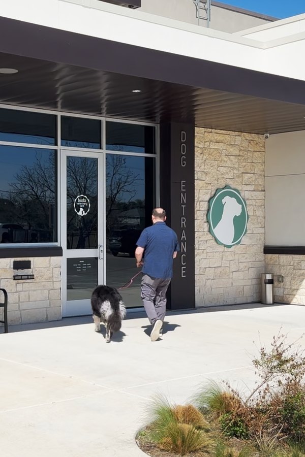 A client walks his dog on a leash toward the separate Dog Entrance at Buda Veterinary Care.