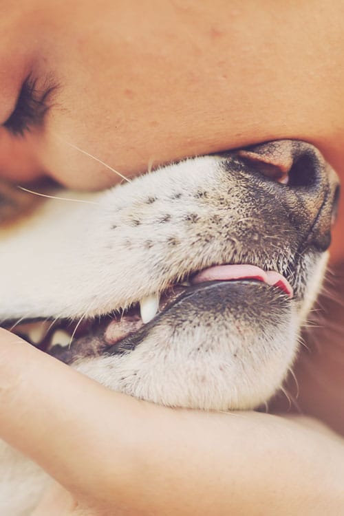 A close-up captures a person lovingly embracing their dog after a visit to the vet. The person's face is gently pressed against the dog's snout, and the dog's tongue peeks out slightly. The image conveys warmth and affection, resonating with the bond nurtured by dedicated veterinary care.